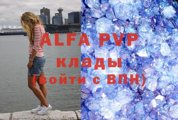 apvp Горняк