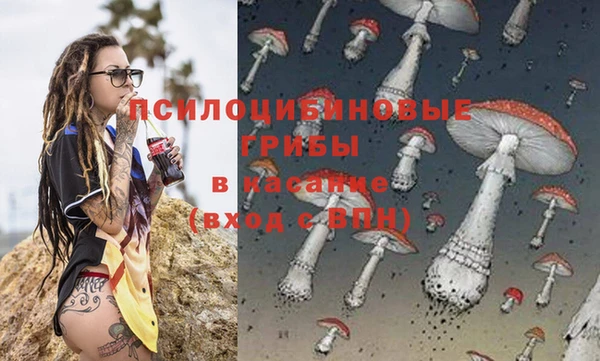 mdma Горнозаводск