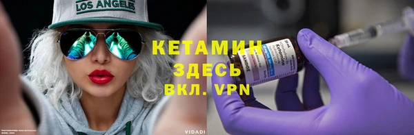 прущие грибы Горно-Алтайск