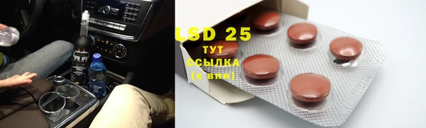 прущие грибы Горно-Алтайск