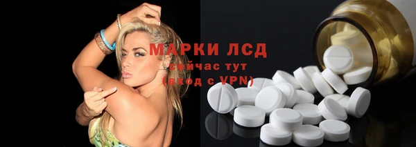 apvp Горняк