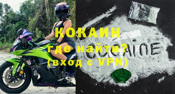 прущие грибы Горно-Алтайск