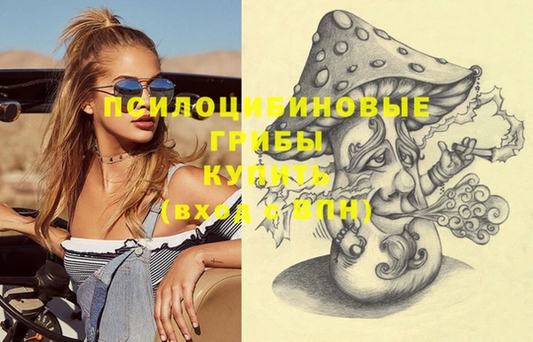 прущие грибы Горно-Алтайск